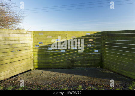 Lo schermo di visualizzazione, in corrispondenza del bordo di habitat delle paludi, lin dyke, rspb fairburn ings, West Yorkshire, Inghilterra, gennaio Foto Stock