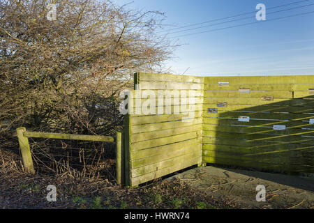 Lo schermo di visualizzazione, in corrispondenza del bordo di habitat delle paludi, lin dyke, rspb fairburn ings, West Yorkshire, Inghilterra, gennaio Foto Stock