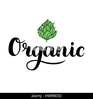 Spazzola organico lettering. Disegnato a mano organico di parola con verde carciofo. Etichetta modello di logo per i prodotti biologici, cibo sano e mercati. Illustrazione Vettoriale Illustrazione Vettoriale