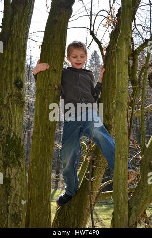 Piccolo ragazzo biondo si arrampica su albero in presenza di luce solare Foto Stock