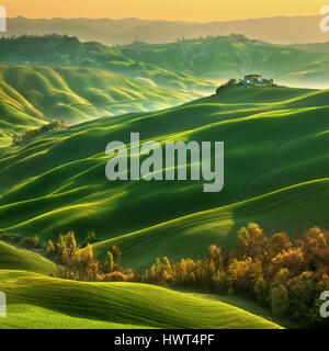 L'Italia,Toscana.in provincia di Siena.Crete Senesi. Campi vicino a Asciano Foto Stock