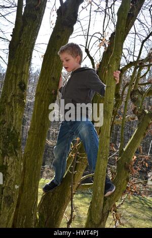 Piccolo ragazzo biondo si arrampica su albero in presenza di luce solare Foto Stock