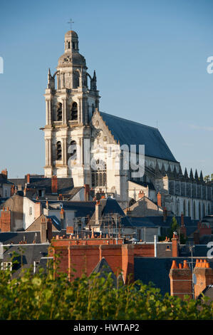 La cattedrale di Saint Louis a Blois, visto dalla spianata di fronte al Chateau de Blois Foto Stock