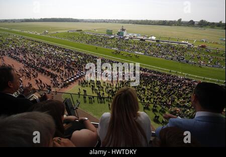 Ai cavalli da corsa sul KNAVESMIRE DANTE FESTIVAL 2015 DANTE FESTIVAL 2015 YORK YORK RACECOURSE YORK INGHILTERRA 15 Maggio 2015 Foto Stock