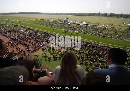 YORK RACECOURSE DANTE FESTIVAL 2015 IPPODROMO DI YORK YORK INGHILTERRA 15 Maggio 2015 Foto Stock