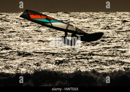 Windsurf al sole del pomeriggio nella Camargue Foto Stock