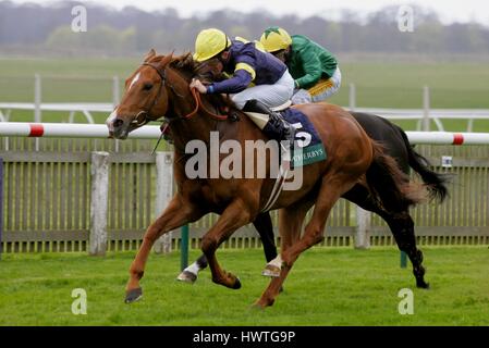 NOTNOWCATO WEATHERBY il conte di SEFTON STK ROWLEY MILE NEWMARKET Corso Inghilterra 19 aprile 2006 Foto Stock