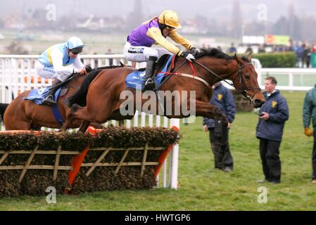 TONY MCCOY & BRAVE INCA LA Smurfit Campione Hurdle CHELTENHAM RACECOURSE CHELTENHAM INGHILTERRA 14 Marzo 2006 Foto Stock