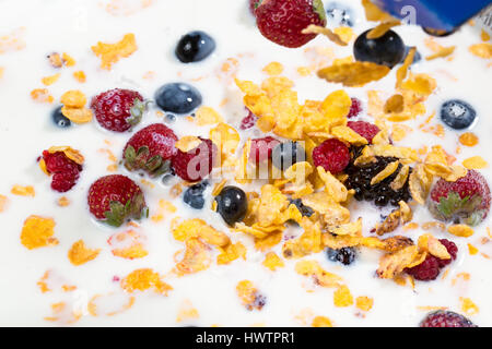 La prima colazione a cereali con mirtilli, lamponi e fragole close up Foto Stock