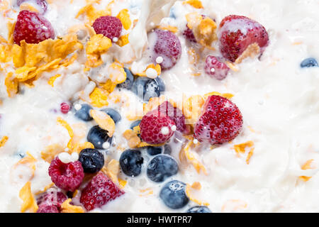 Una sana prima colazione-cereali con mirtilli, lamponi e fragole close up Foto Stock