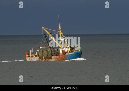 A strascico costiera in poco profondo mare costiero la pesca di vita marine che possono minacciare la colonia di po ter(Sterna albifrons) .vita marina parte della catena ecologica che influenzano il ciclo di vita dei cicerelli ,capo oggetto di preda di poco Sterne -specie indicatore del cambiamento climatico. Foto Stock