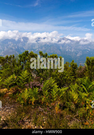 Le montagne a La Viorna vicino a Potes nel Parco Nazionale Picos de Europa Cantabria Spagna Foto Stock