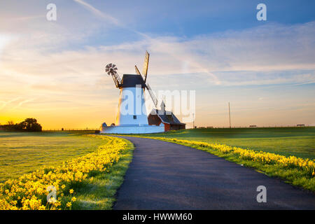 Lytham, Lancashire. Regno Unito Meteo. Il 24 marzo 2017. Lytham St Annes, Lytham Mulino a Vento è un imponente punto di riferimento sul lungomare si trova a Lytham verde nella città costiera di Lytham St Annes, Lancashire, Inghilterra. Esso è del tipo noto come un tower mill, vento, potenza, energia, sky, turbina, ambiente, elettricità, tecnologia, natura, generatore, mulino, rinnovabile, ed è stato progettato per la macinazione di grano e di avena per fare la farina di crusca o. Foto Stock