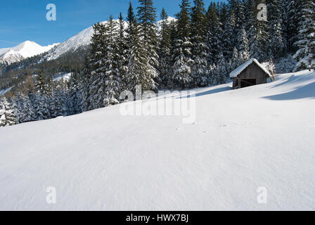 Fienile su terreni innevati pascolo alpino di fronte la foresta e la montagna. Fantastico invernale paesaggio pittoresco con splendido panorama invernale. Foto Stock