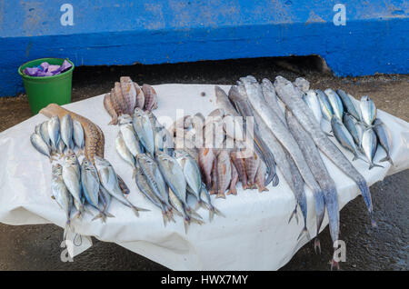 Diversi pesci freschi impilati sul tavolo al mercato in Essaouira, Marocco. Foto Stock