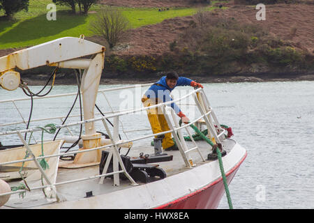 Giovani cinesi membro di equipaggio tira la cima di ormeggio sulla prua di un peschereccio da traino come ella ormeggiata nel porto di Kinsale nel sughero della contea sulla costa sud di Irela Foto Stock