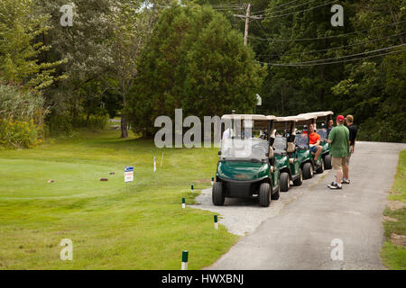 Golf in una giornata di sole. Foto Stock