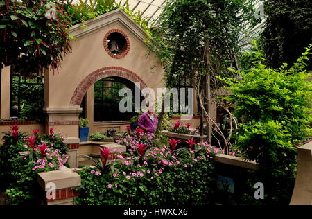 Kennett Square, Pennsylvania - Giugno 3, 2015: Il Giardino dei bambini con nelle petunie e bromeliacee a Longwood Gardens Foto Stock