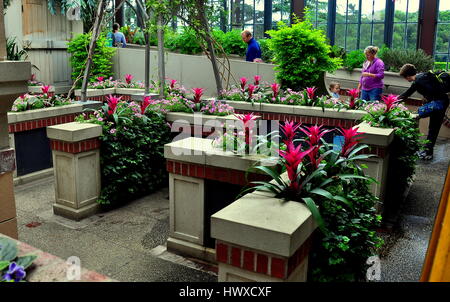 Kennett Square, Pennsylvania - Giugno 3, 2015: nelle petunie rosa e rosso bromeliacee aggiungere il colore per il fantasioso giardino dei bambini a Longwood Gardens * Foto Stock