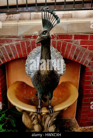 Kennett Square, Pennsylvania - Giugno 3, 2015: Peacock fontana nel giardino dei bambini a Longwood Gardens Foto Stock