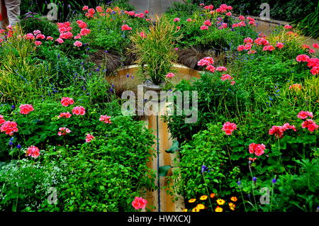 Kennett Square, Pennsylvania - Giugno 3, 2015: gerani rosa circondano una piccola fontana in Longwood Gardens Conservatorio Foto Stock