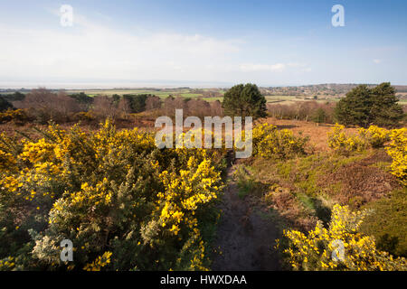 La parte superiore del paese Thurstaston park, Wirral, NW, REGNO UNITO Foto Stock