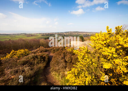 La parte superiore del paese Thurstaston park, Wirral, NW, REGNO UNITO Foto Stock