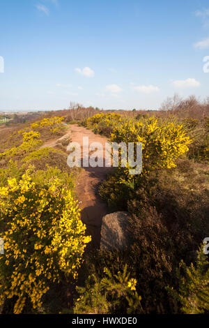 La parte superiore del paese Thurstaston park, Wirral, NW, REGNO UNITO Foto Stock