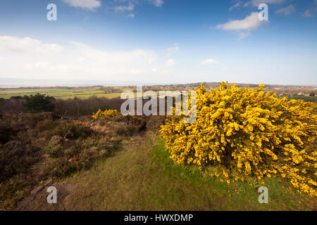 La parte superiore del paese Thurstaston park, Wirral, NW, REGNO UNITO Foto Stock