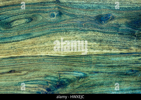 Verde, nero e marrone morbido naturale legno reale sfondo texture Foto Stock