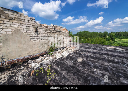 Sul tetto dell'edificio in Skrunda-1 città fantasma, ex sito dell Unione Sovietica Dnepr stazione radar dal periodo della guerra fredda vicino Skrunda città in Lettonia Foto Stock