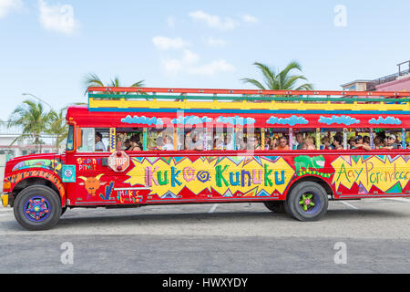 Kukoo kunuku autobus partito ad Aruba Foto Stock