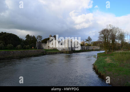 Il Castello di Desmond resti sul fiume Maigue in Irlanda. Foto Stock