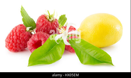 I limoni e lamponi isolato su uno sfondo bianco. Foto Stock