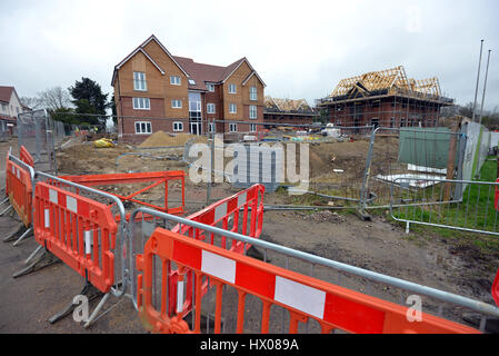 Nuove case in costruzione su un sito brownfield, home all'ex Merrydown fabbrica di sidro. Foto Stock