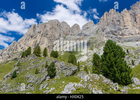 Vista sul Gruppo del Sasso Lungo delle Dolomiti Foto Stock