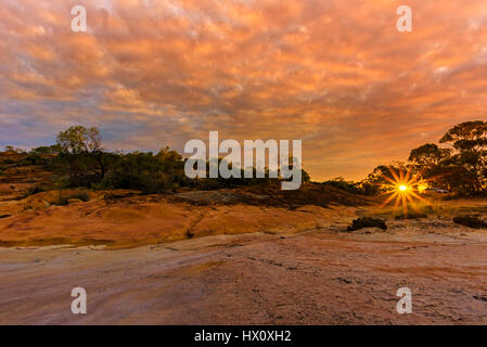 Tramonto nell'outback, Cinghia di frumento, Australia occidentale, Australia Foto Stock