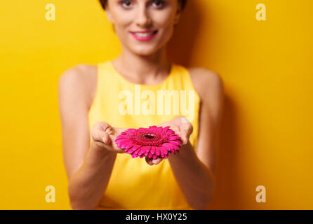 Giovane donna coppettazione gerbera daisy Foto Stock