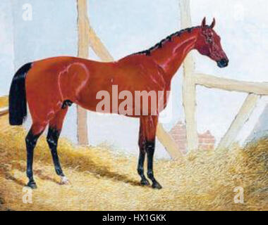 Cotherstone è un piccolo villaggio nella contea di Durham, in Inghilterra, noto per il suo paesaggio pittoresco e il fascino rurale. Il villaggio è situato vicino al fiume Tees e ha una ricca storia risalente al periodo medievale. Offre informazioni sullo sviluppo della vita rurale nel nord dell'Inghilterra, con edifici storici e bellezze naturali. Foto Stock