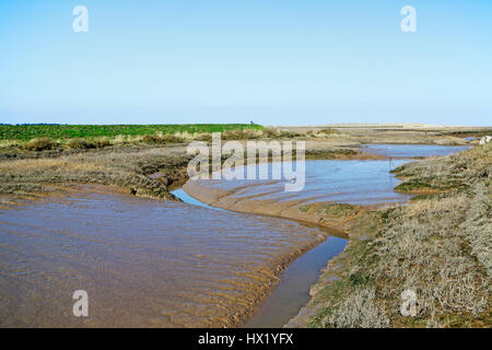 Una vista di un torrente in Salt Marshes a bassa marea in North Norfolk a Thornham, Norfolk, Inghilterra, Regno Unito. Foto Stock