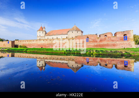 Fagaras,Transilvania,Romania. La fortezza medievale. Foto Stock