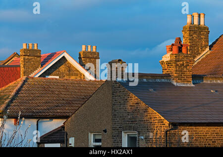 Tetti e camini. Luce della Sera. Croydon South London REGNO UNITO Foto Stock