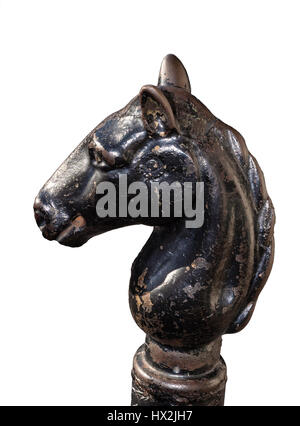 Testa di cavallo Foto Stock