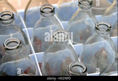 Soda vuota di bottiglie di vetro dopo l'utilizzo per il riciclo o riutilizzo foto in cloud esterni di bassa illuminazione. Foto Stock