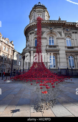 Solo uso editoriale il papavero scultura finestra piangendo per artista Paolo Cummins e designer Tom Piper è svelato al di fuori del Museo Marittimo di Hull come parte di un REGNO UNITO-wide tour organizzato da 14-18 ora il programma delle arti per la prima guerra mondiale centenario. Foto Stock