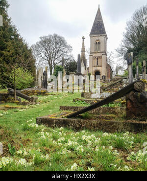 Un tappeto di colore giallo selvatico primule tappeti di copertura Abbazia di Bath cimitero in primavera fino alla chiesa cappella, Bath Regno Unito Foto Stock