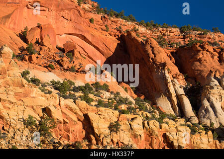 Canyon lungo, la grande scala - Escalante monumento nazionale, Burr Trail Scenic Byway, Utah Foto Stock