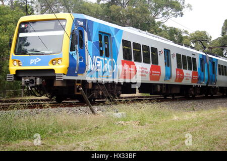 Treno della metropolitana di Melbourne che viaggia tra Ferntree Gully e Boronia, Victoria, Australia. 24 Mar 17 Foto Stock