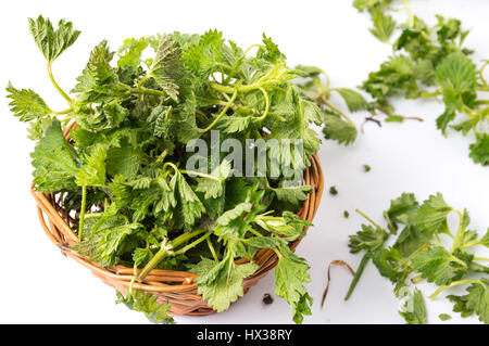 Ortica foglie verdi in un cesto di vimini su bianco Foto Stock