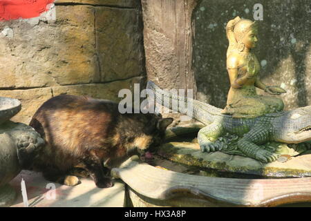 Big Buddha siede sulla vetta più alta delle colline nakkerd in ao chalong. 45 metro di altezza statua in marmo bianco visibile da qualsiasi punto nel sud di phuket. Foto Stock